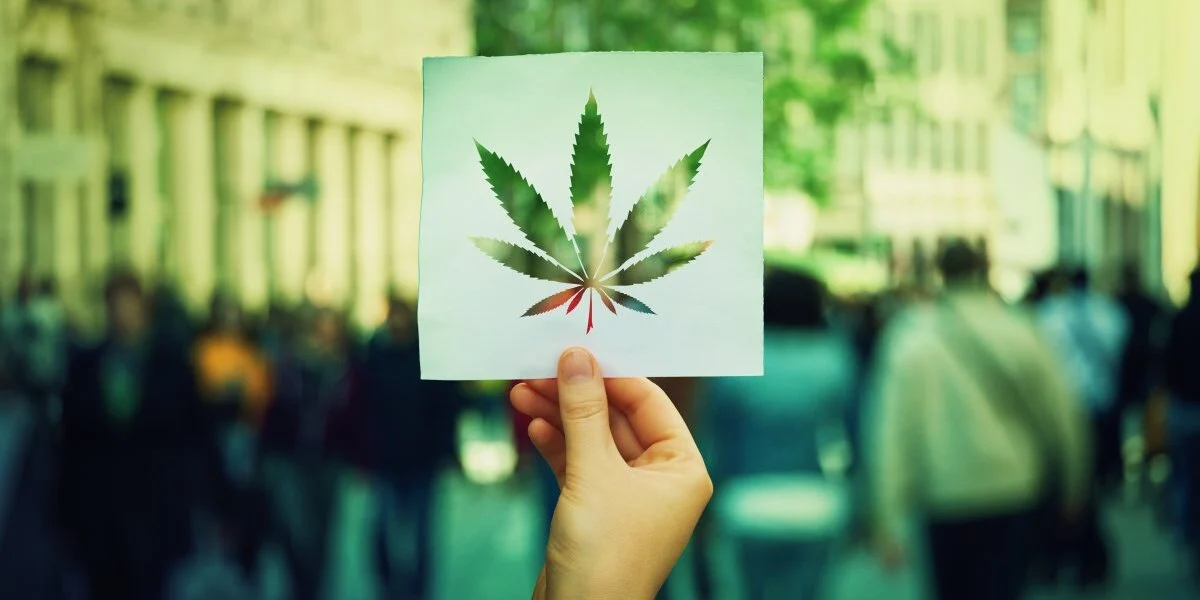 Navigating the Digital Marketing Landscape in Edge Verticals: The Cannabis Industry