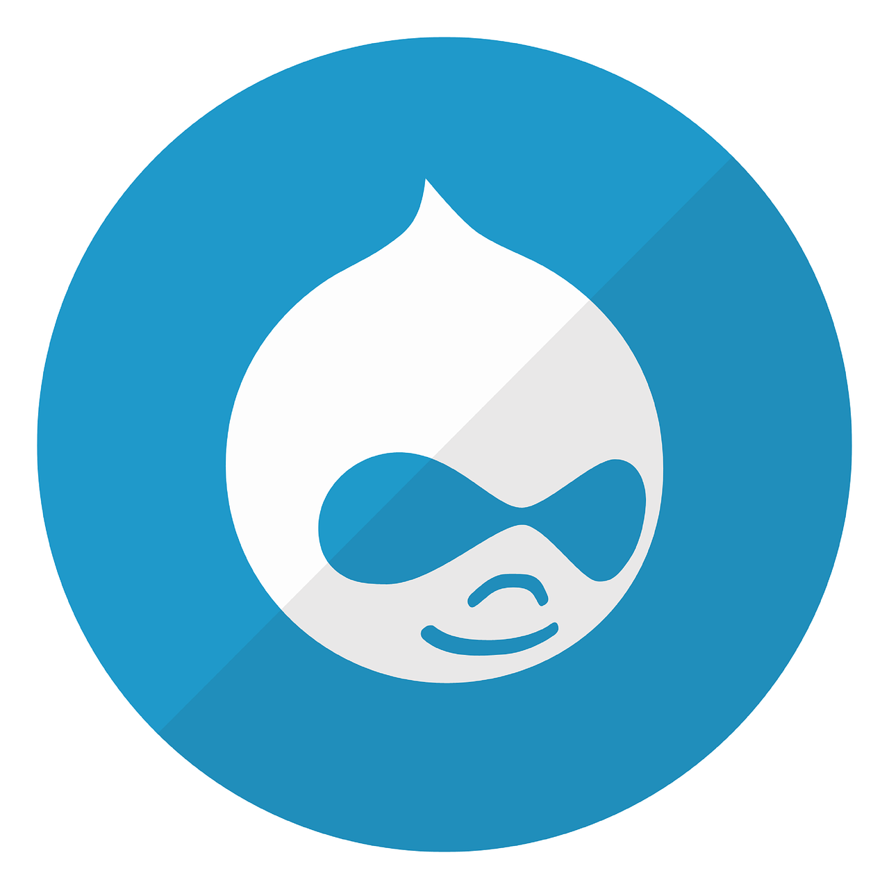 Drupal CMS: A Comprehensive Evaluation of Features, Benefits, and Considerations